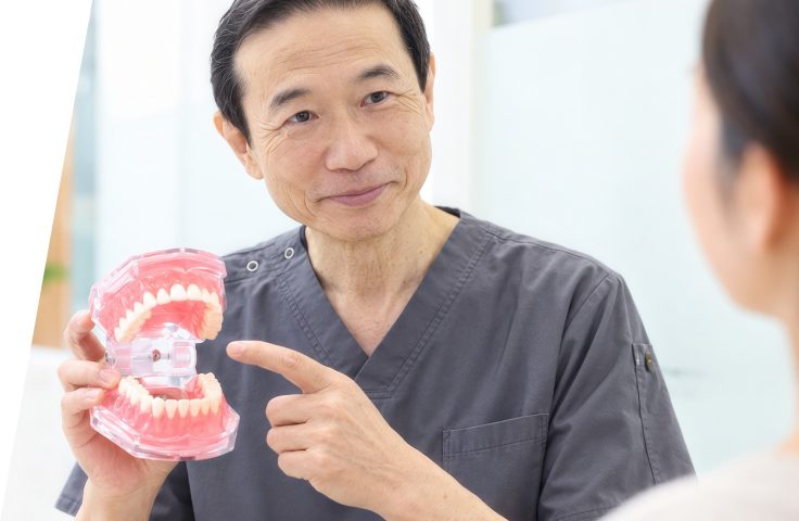 歯科医師が歯の模型を使って説明している様子